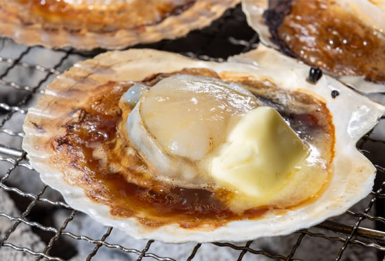 Aomori scallops