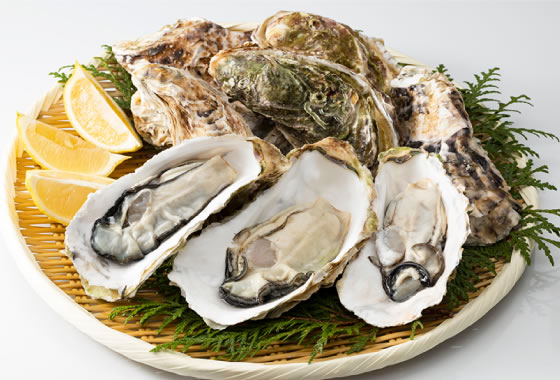 Oyster