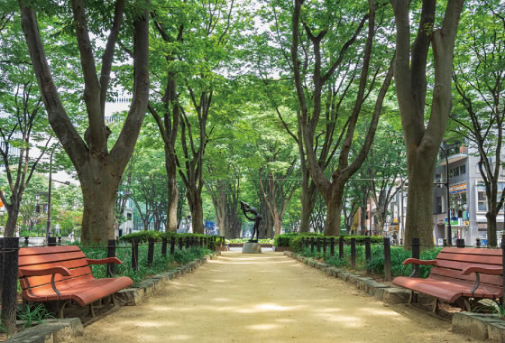 Jozenji-dori Avenue