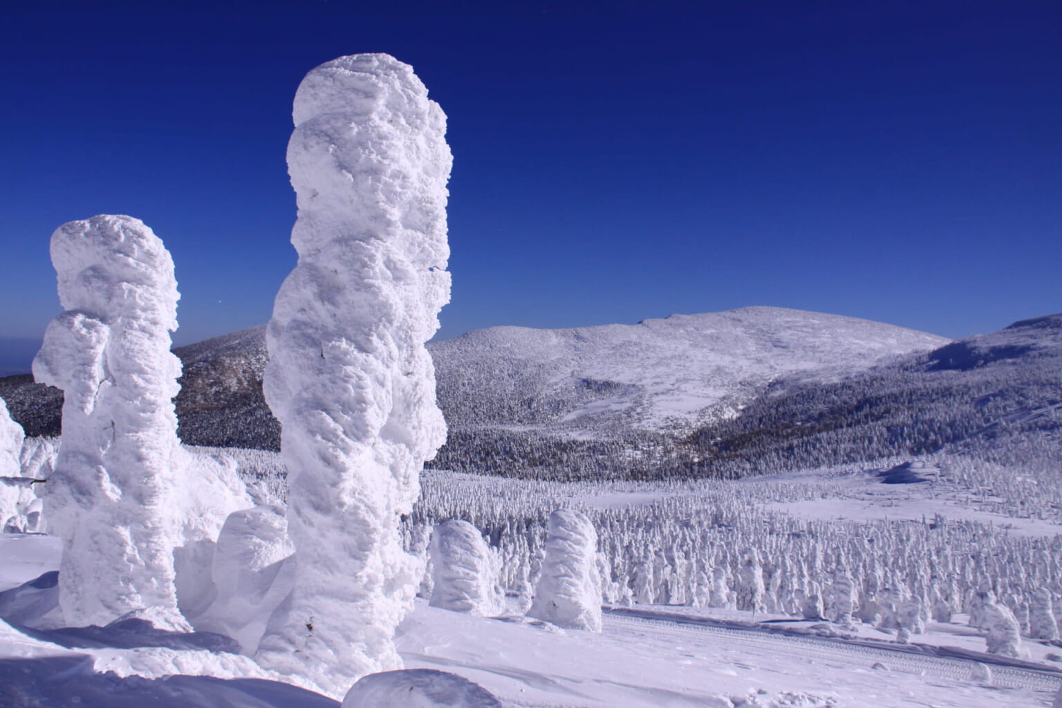 soft-rime-trekking-tour-discover-sendai