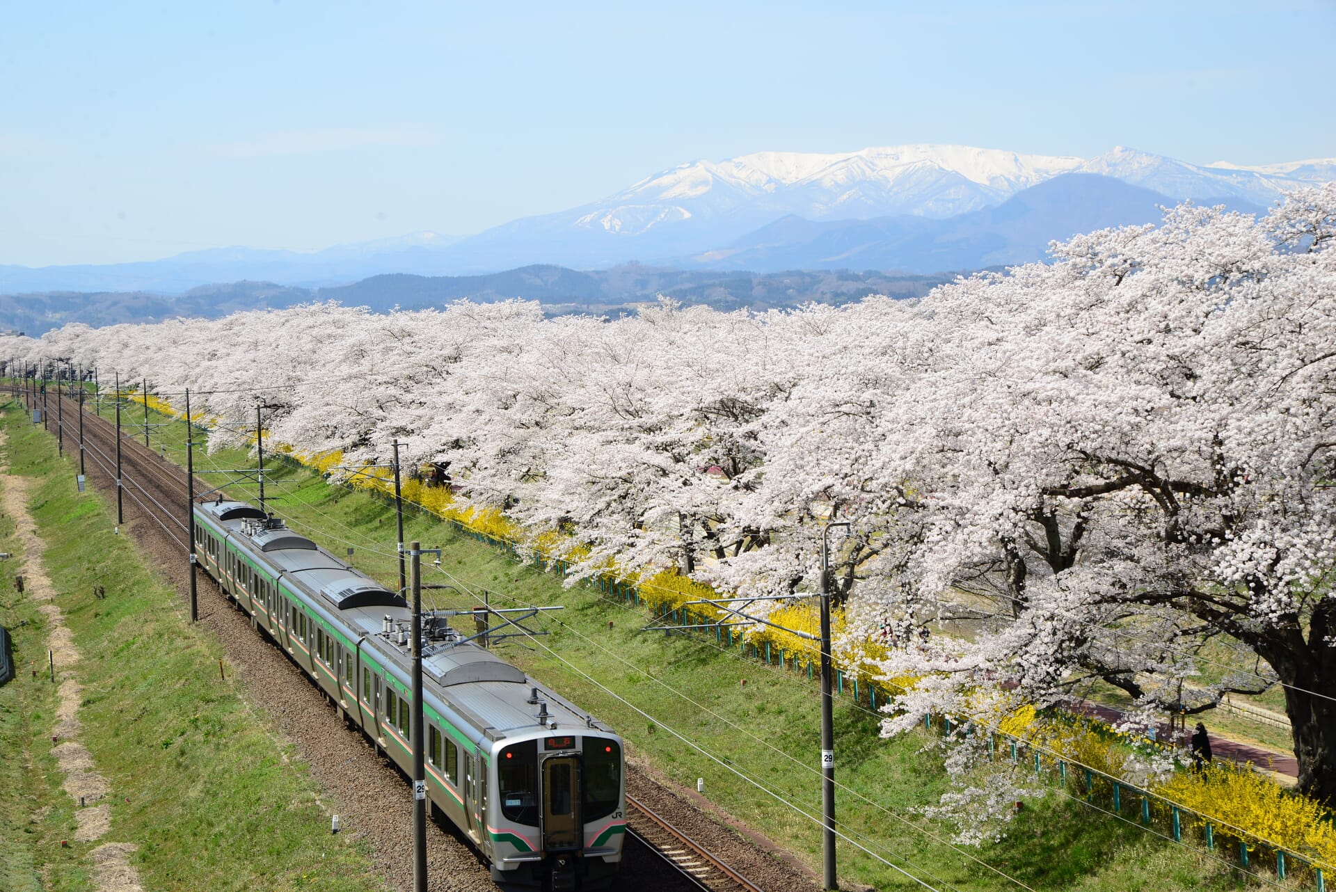 Hitomesenbon train