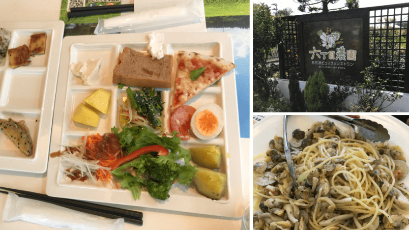 Rokuchonome-Farm-Natural-Buffet-Restaurant