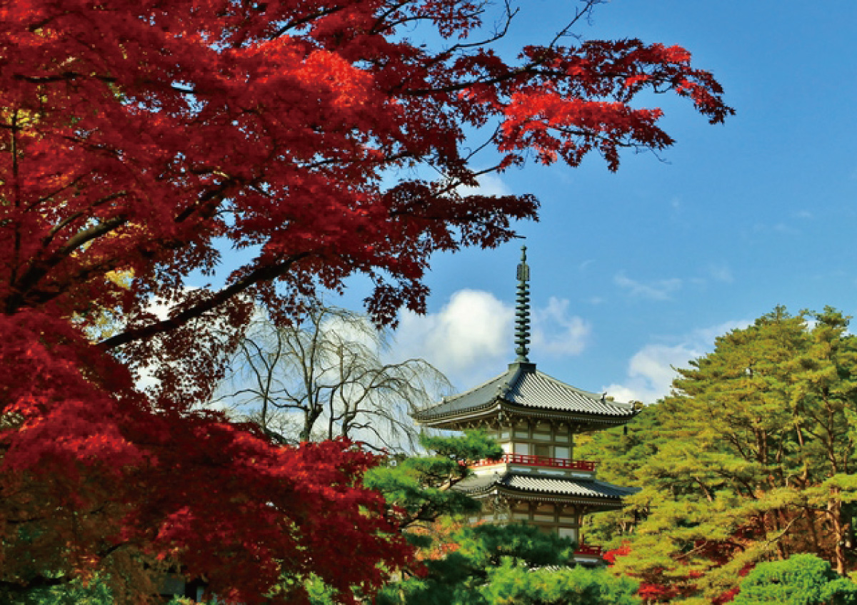 Autumn Foliage