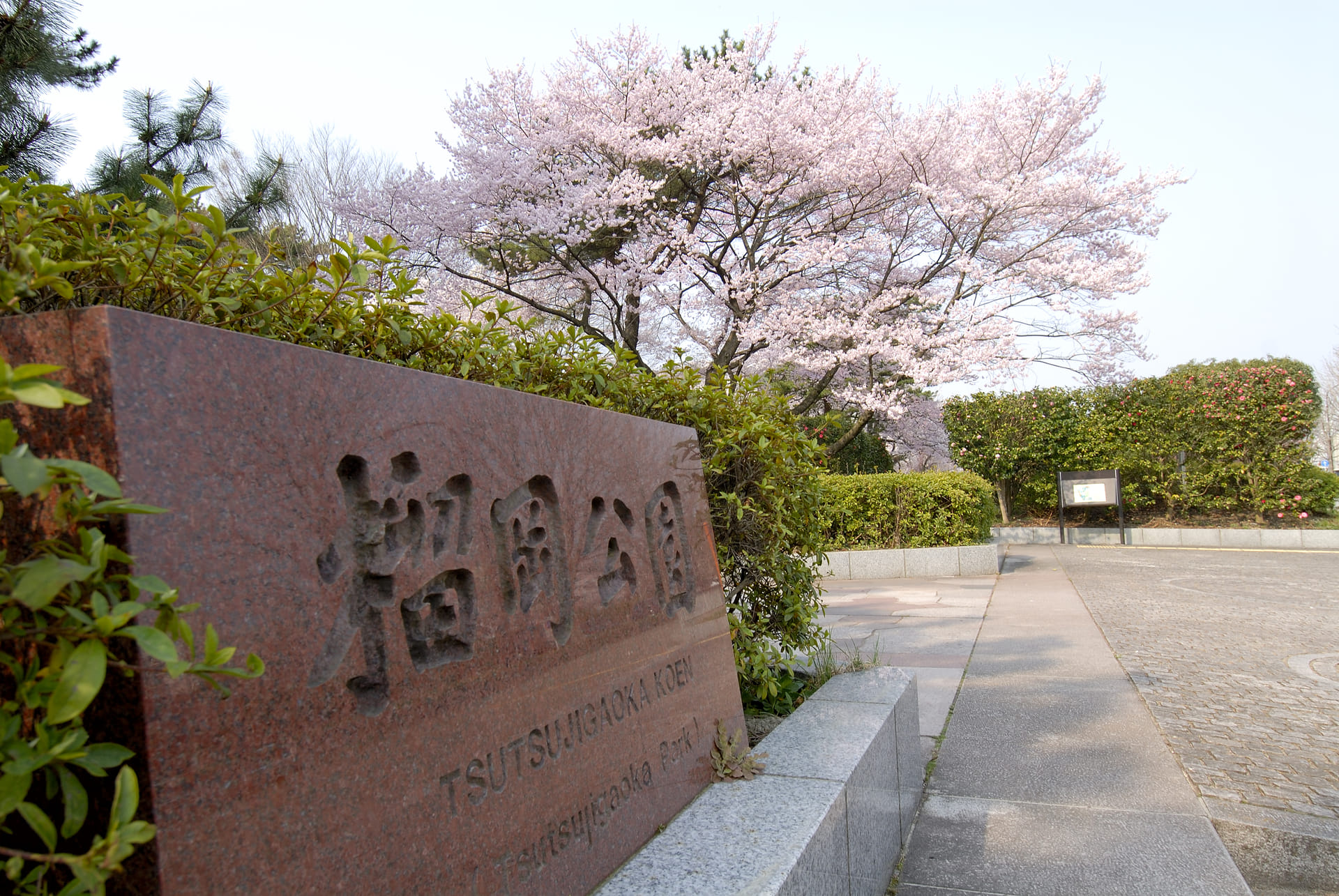 Tsutsujigaoka_park