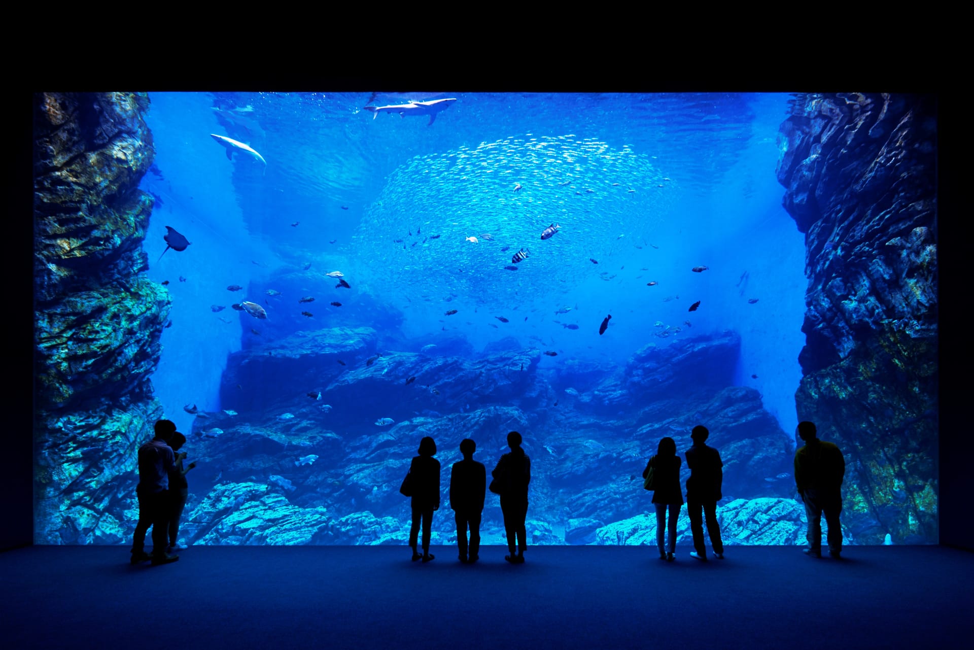 Sendai Umino-Mori Aquarium