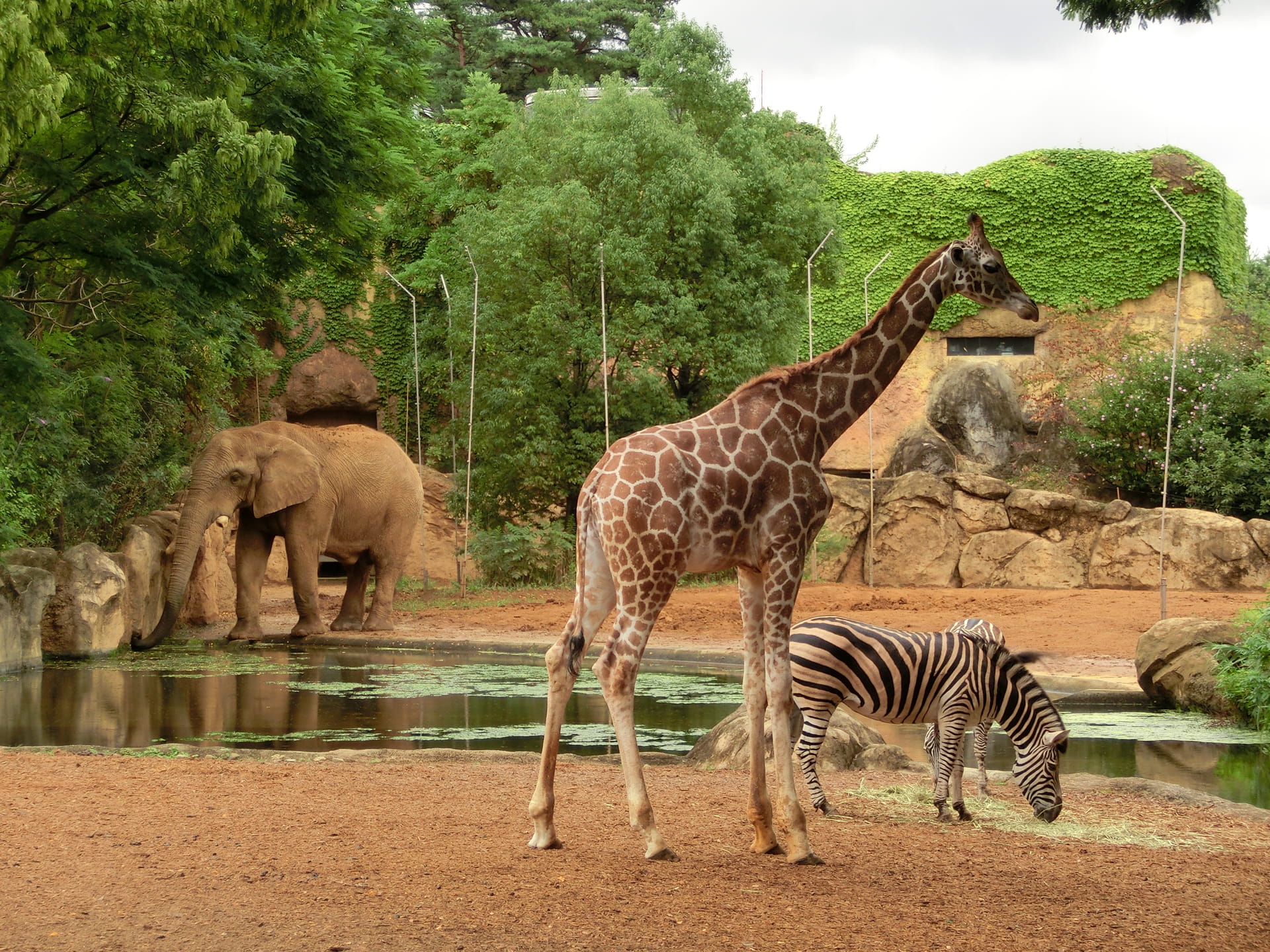 Sendai Yagiyama Zoological Park