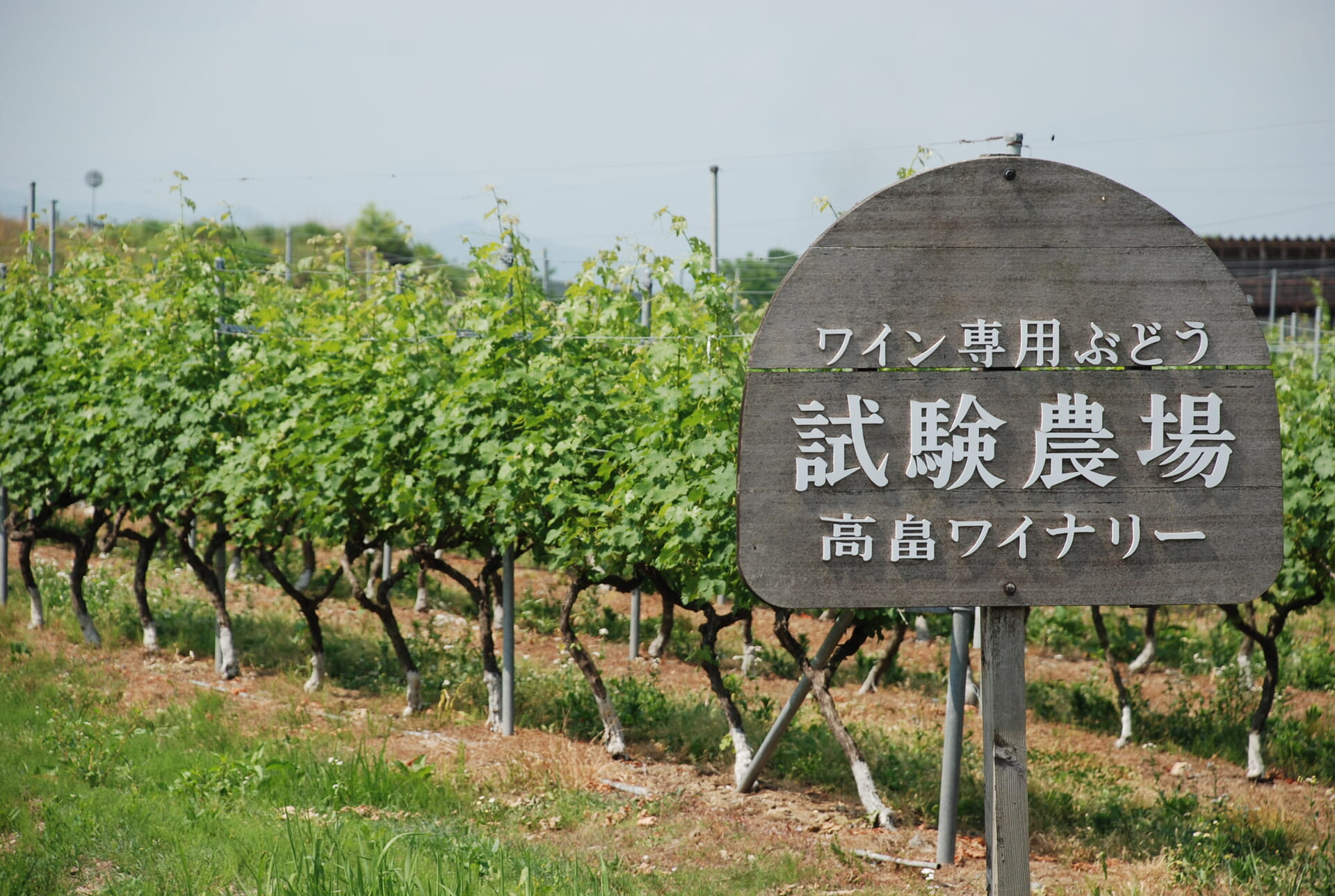 Takahata Winery