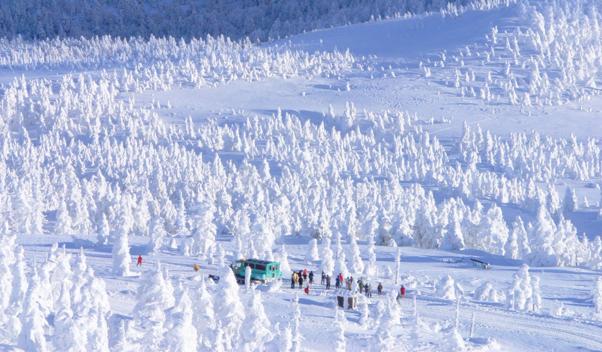 冬のハイライト