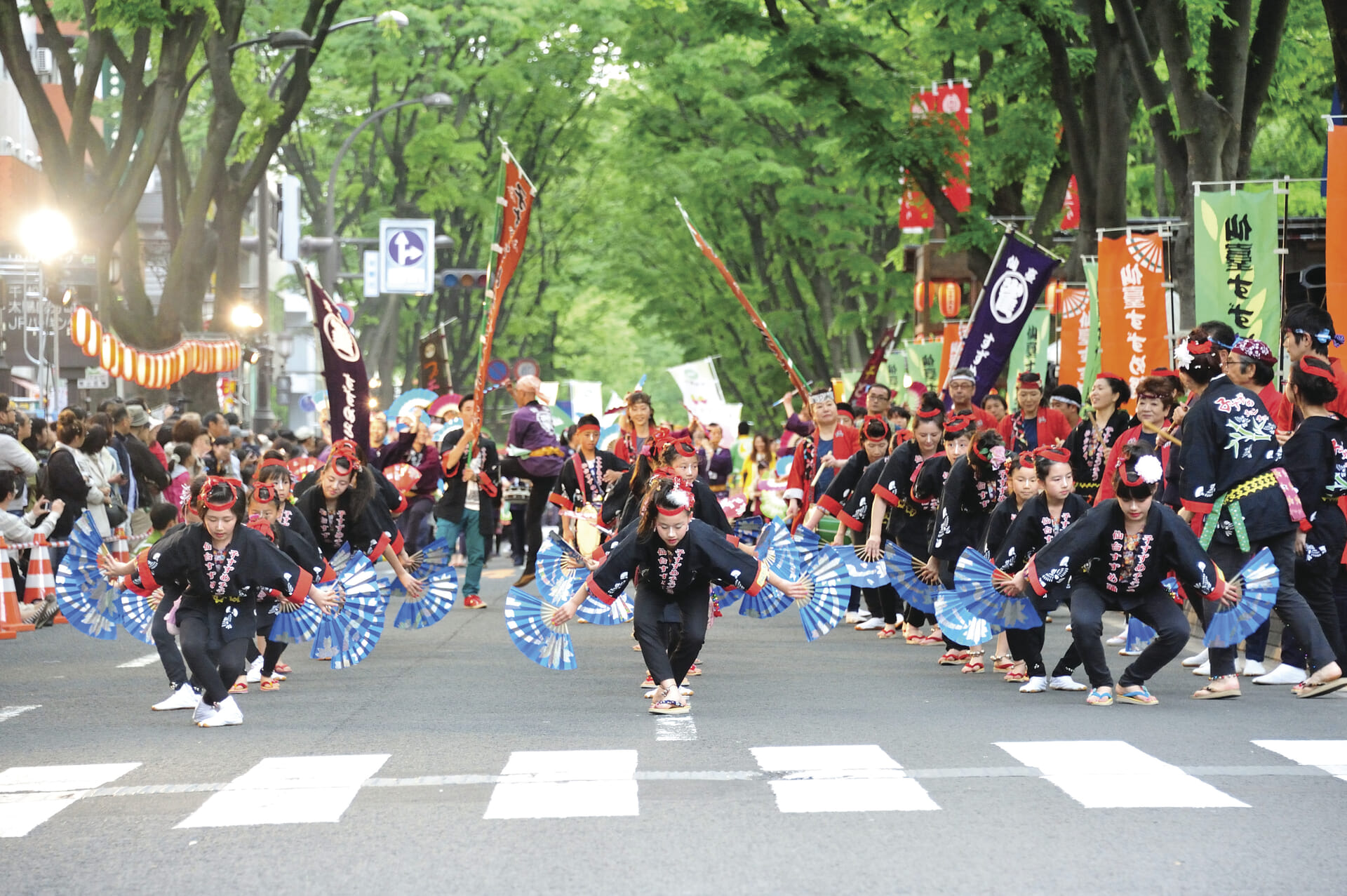 春のハイライト